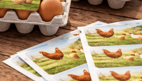 Rótulos Adesivos Para Bandeja De Ovos